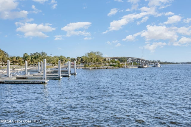 dock area featuring a water view