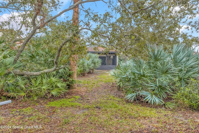 view of yard with a sunroom