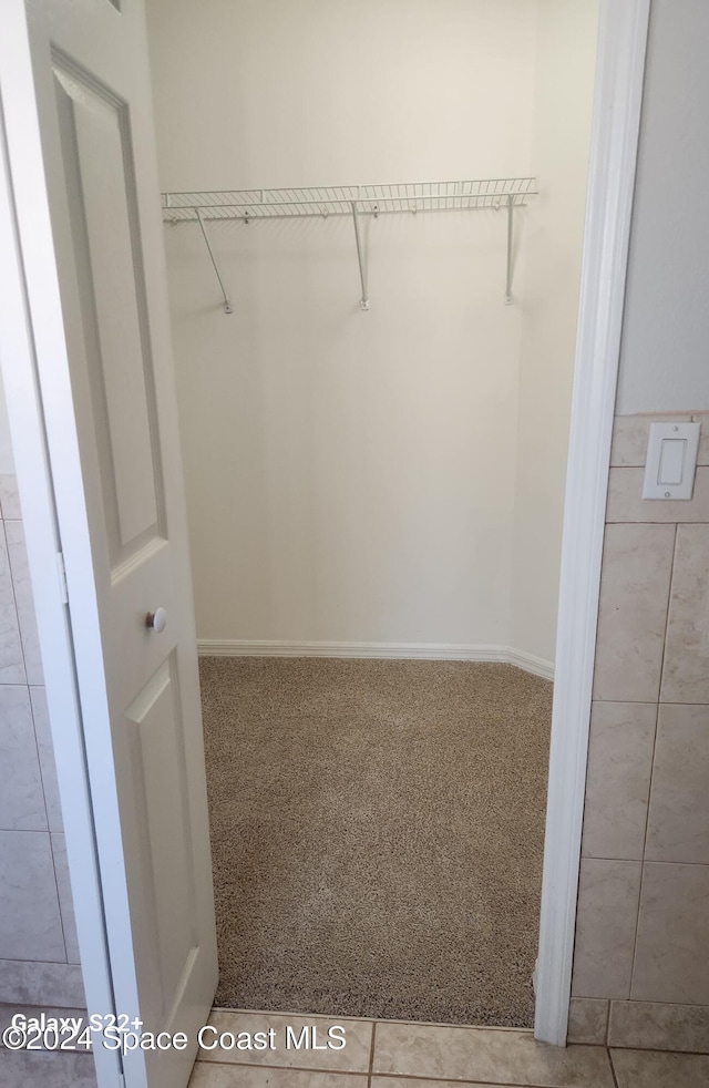 spacious closet with carpet floors