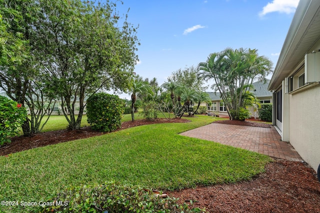 view of yard with a patio area