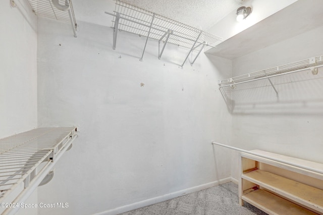 spacious closet with carpet floors