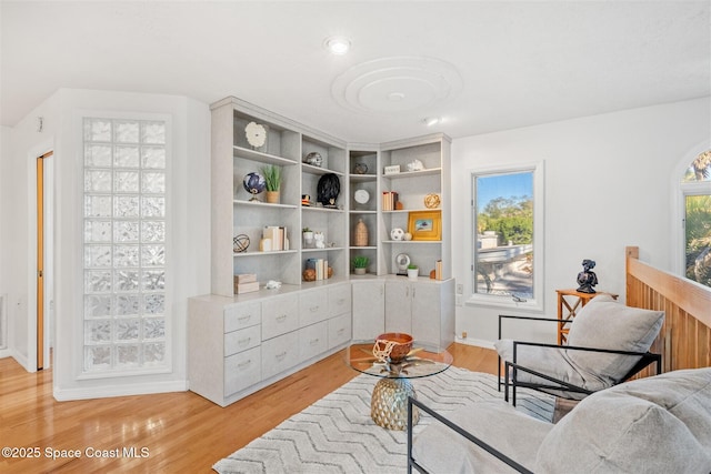 living area featuring light hardwood / wood-style flooring and a healthy amount of sunlight