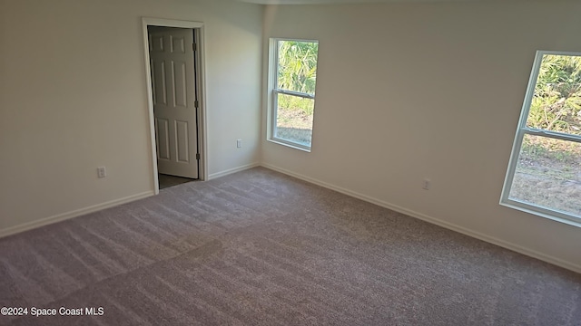 spare room featuring carpet floors and a wealth of natural light