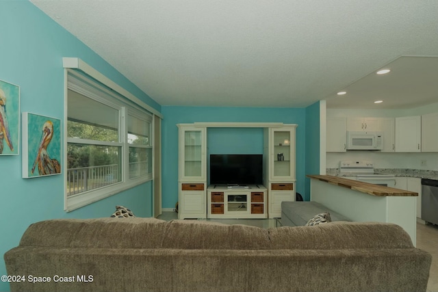 6590 Odyssey St Unit I, Cape Canaveral, FL 32920 - living room featuring recessed lighting and a textured ceiling