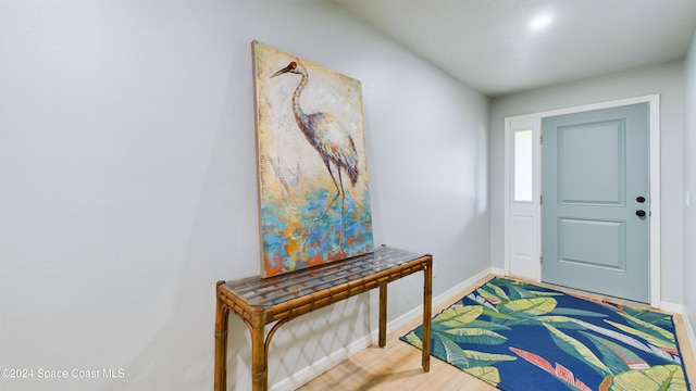 foyer entrance featuring wood-type flooring