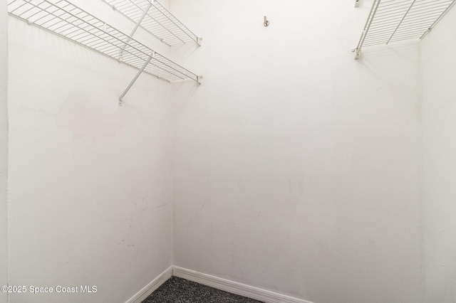 spacious closet with carpet flooring