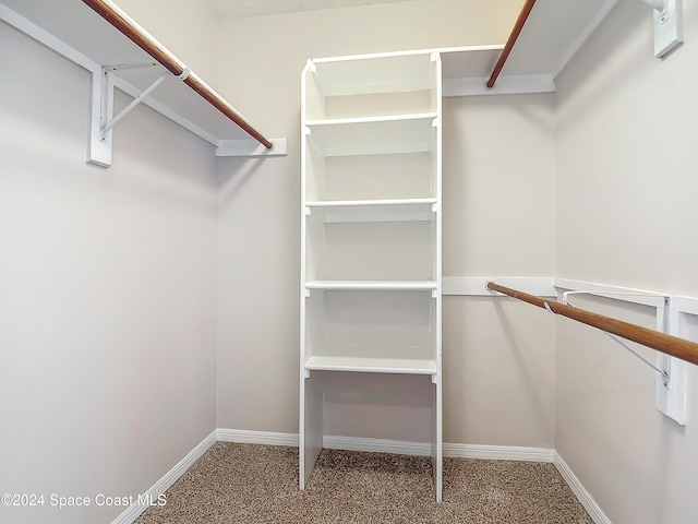 walk in closet with carpet