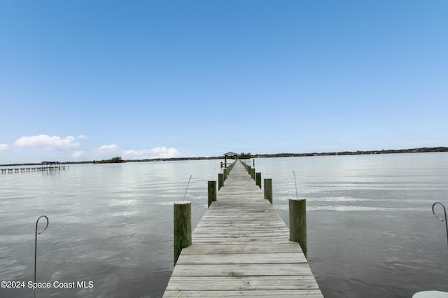 dock area featuring a water view