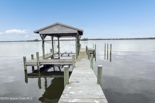 dock area with a water view