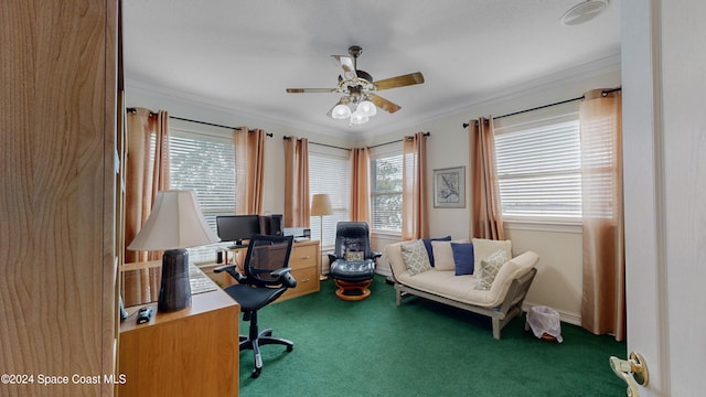 home office with ceiling fan, carpet floors, and ornamental molding