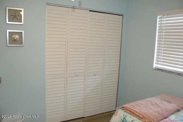 bedroom with wood-type flooring and a closet