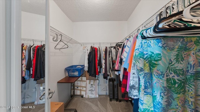 spacious closet with carpet flooring