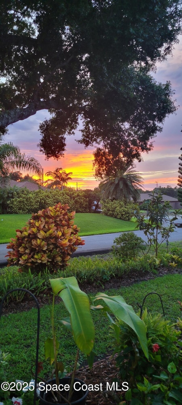 view of community featuring a lawn