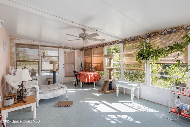 sunroom / solarium featuring ceiling fan and a wealth of natural light