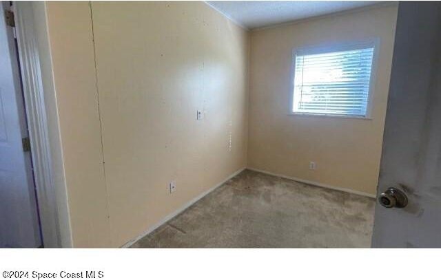 361 Payne Ave, Cocoa, FL 32927 - empty room featuring carpet flooring