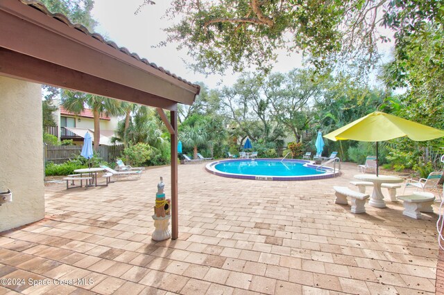 view of swimming pool with a patio