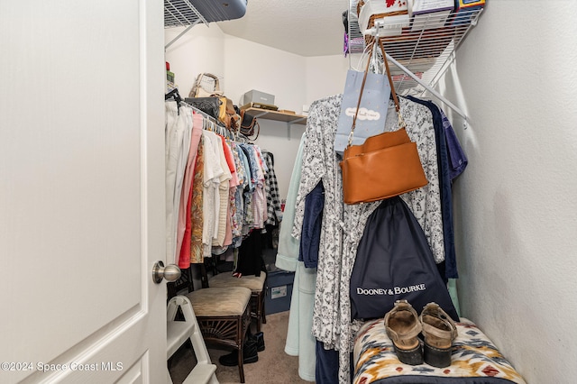 walk in closet featuring carpet flooring