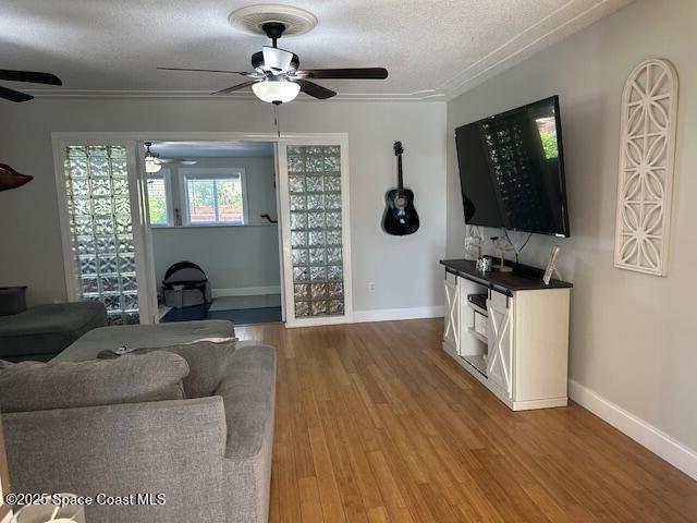 living room with hardwood / wood-style floors and a textured ceiling