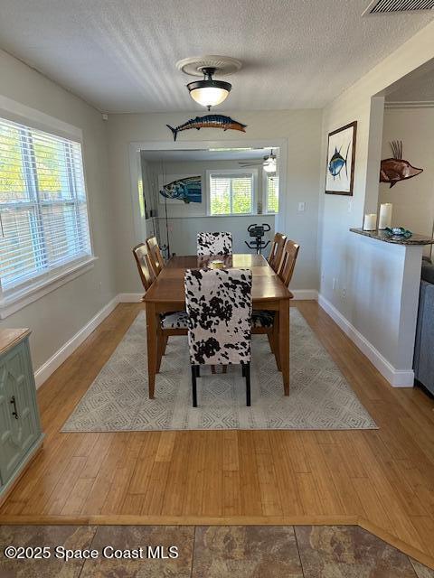 dining space with hardwood / wood-style floors, a healthy amount of sunlight, and a textured ceiling