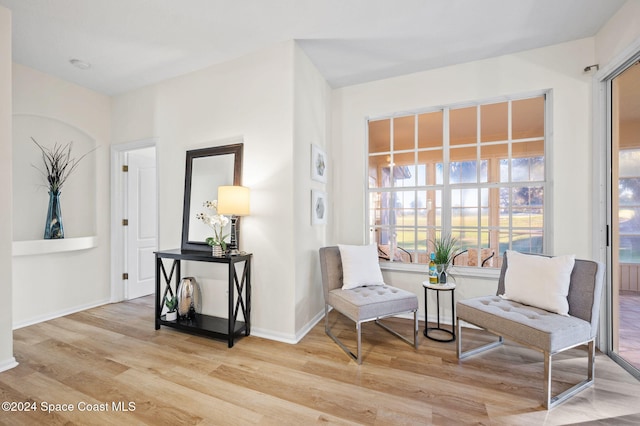 living area with light wood-type flooring and a wealth of natural light