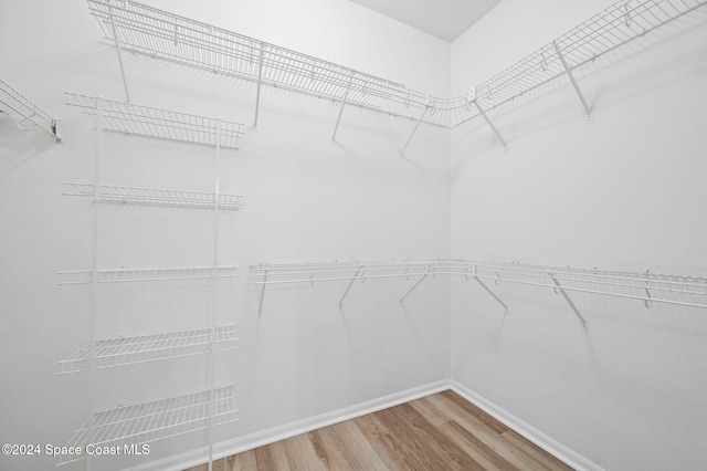 spacious closet featuring hardwood / wood-style floors