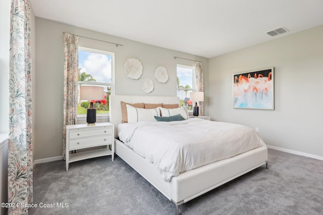 carpeted bedroom featuring multiple windows