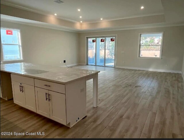 kitchen featuring white cabinetry, a raised ceiling, sink, and light stone counters