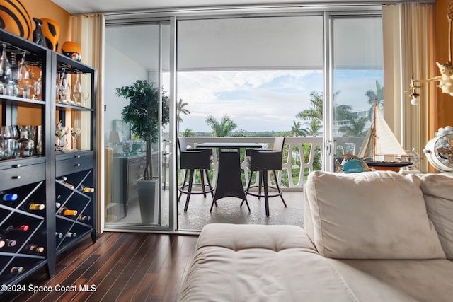 interior space with floor to ceiling windows, plenty of natural light, and dark hardwood / wood-style floors