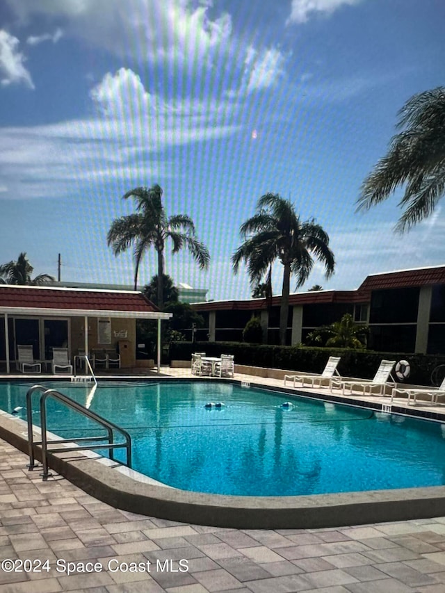 view of pool featuring a patio