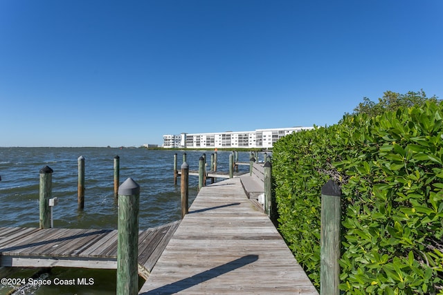 dock area with a water view