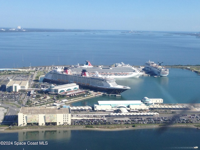 bird's eye view with a water view