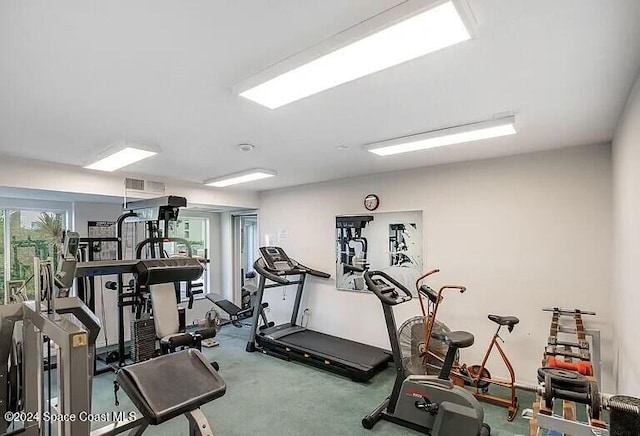 exercise room with a wealth of natural light