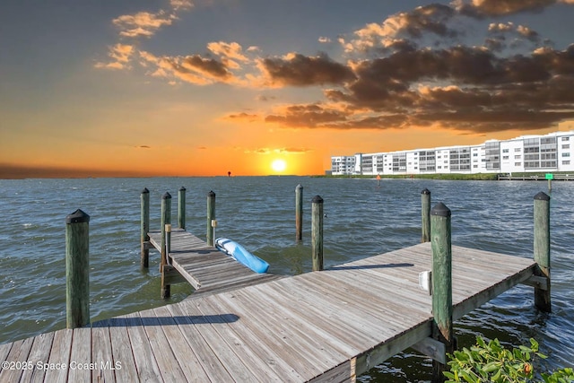 dock area featuring a water view