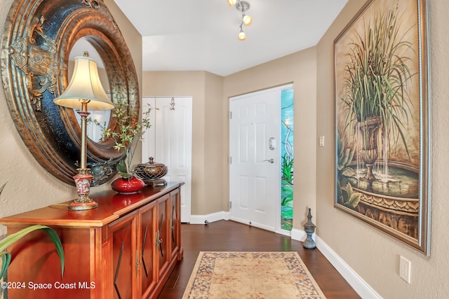 entrance foyer with dark wood-type flooring