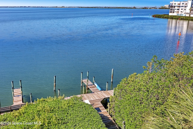 dock area featuring a water view