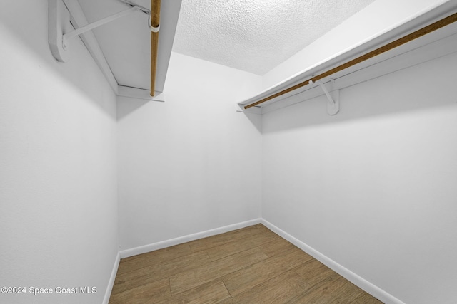 walk in closet featuring wood-type flooring