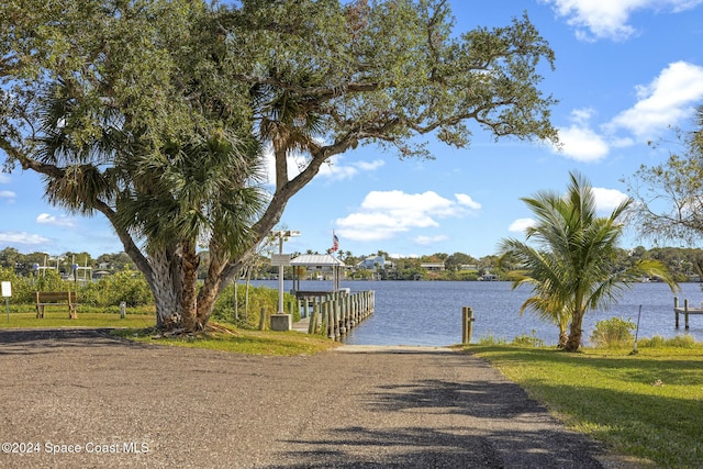 water view featuring a boat dock