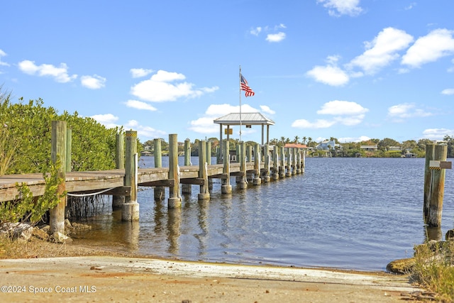 dock area with a water view