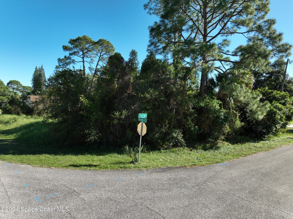 6643 Emil Ave, Port Saint John, FL 32927