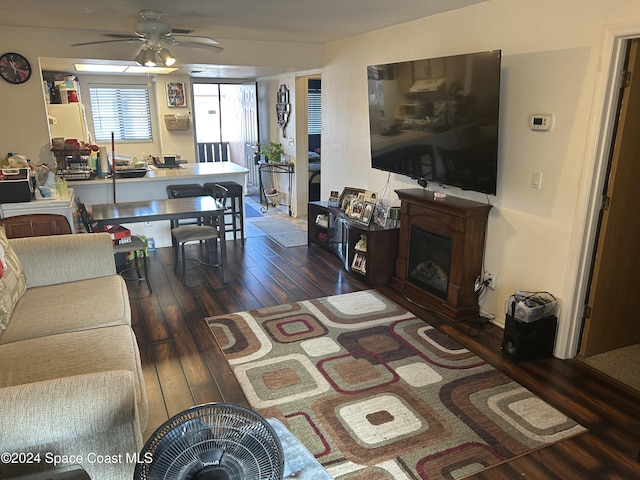 living room with ceiling fan and dark hardwood / wood-style flooring