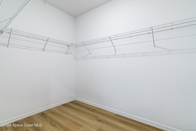 spacious closet featuring hardwood / wood-style floors