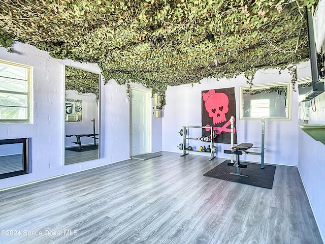 1037 Poinsetta St, Cocoa, FL 32927 - workout room with wood finished floors