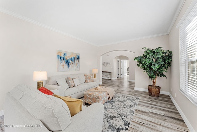 living room featuring wood-type flooring and ornamental molding