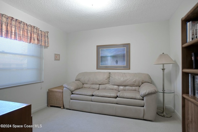 carpeted living room with a textured ceiling