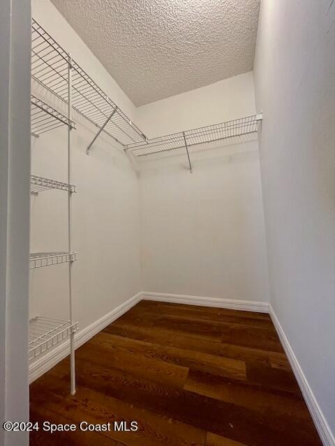 walk in closet with dark hardwood / wood-style flooring