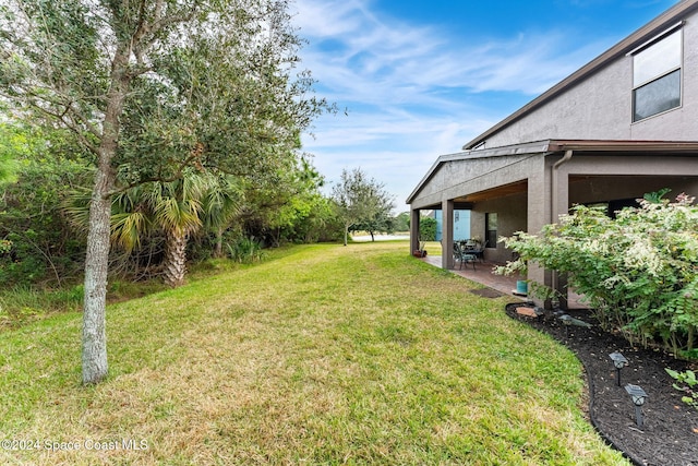 view of yard featuring a patio area