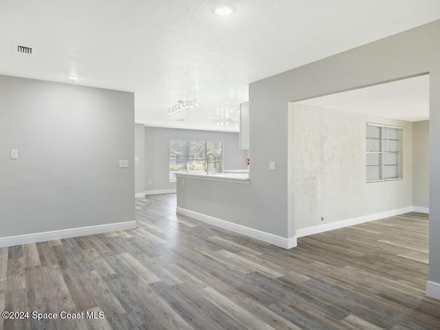 unfurnished room featuring wood-type flooring and sink