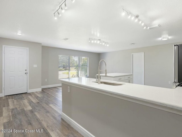 kitchen featuring light wood-type flooring, rail lighting, and sink