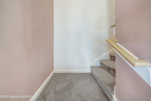 stairs with carpet floors