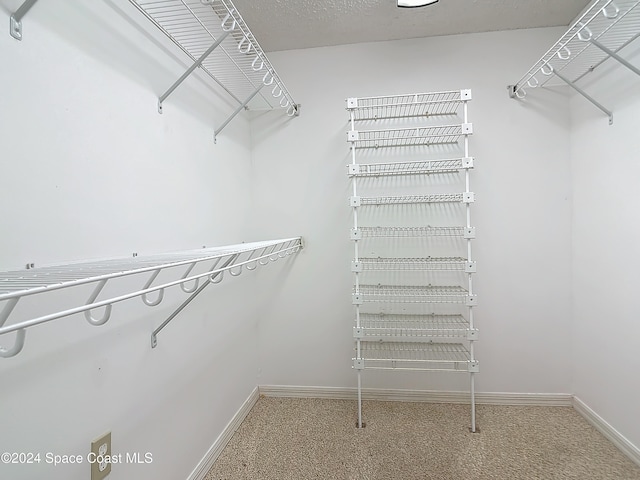 spacious closet featuring carpet flooring